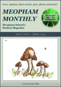 Meopham Monthly - Issue 2 (online version)